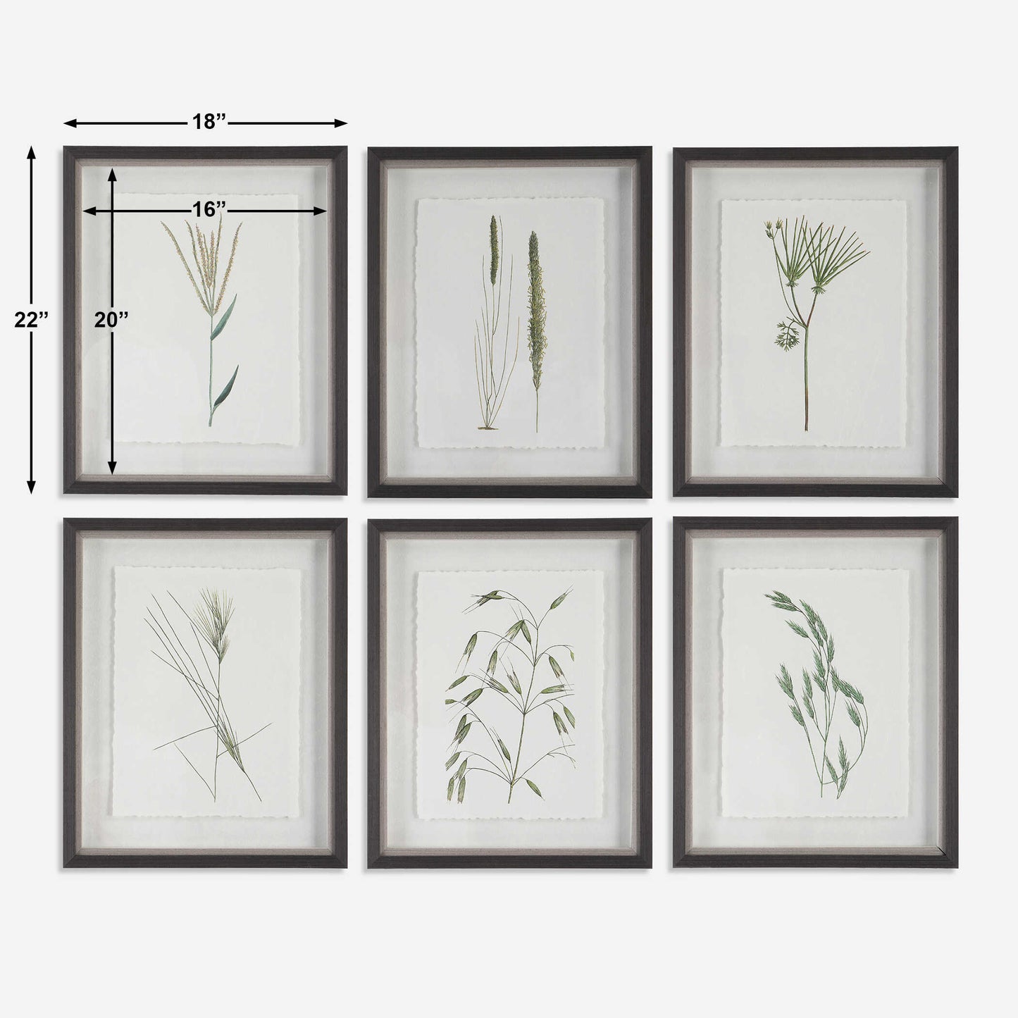 Forest Finds Framed Prints Set/6