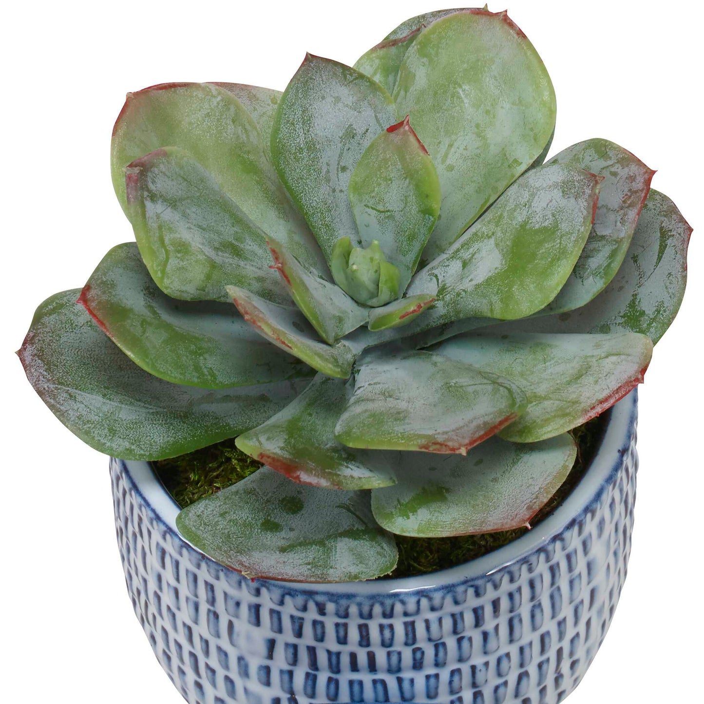Puebla Greenery In Blue & White Pots Set/3