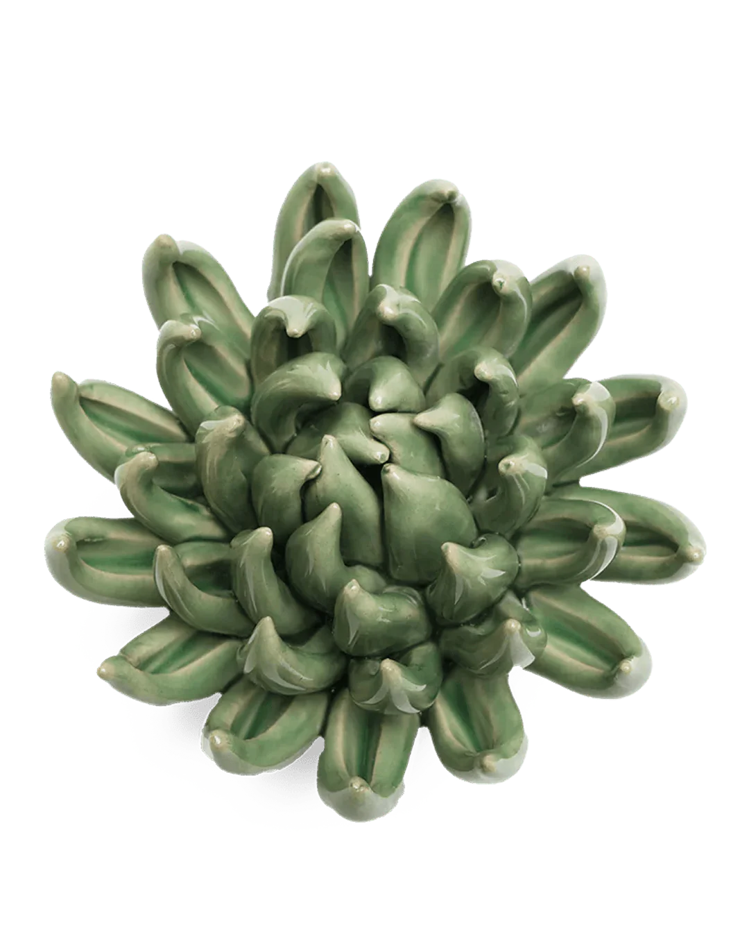 Jade Green Succulent Wall Flower