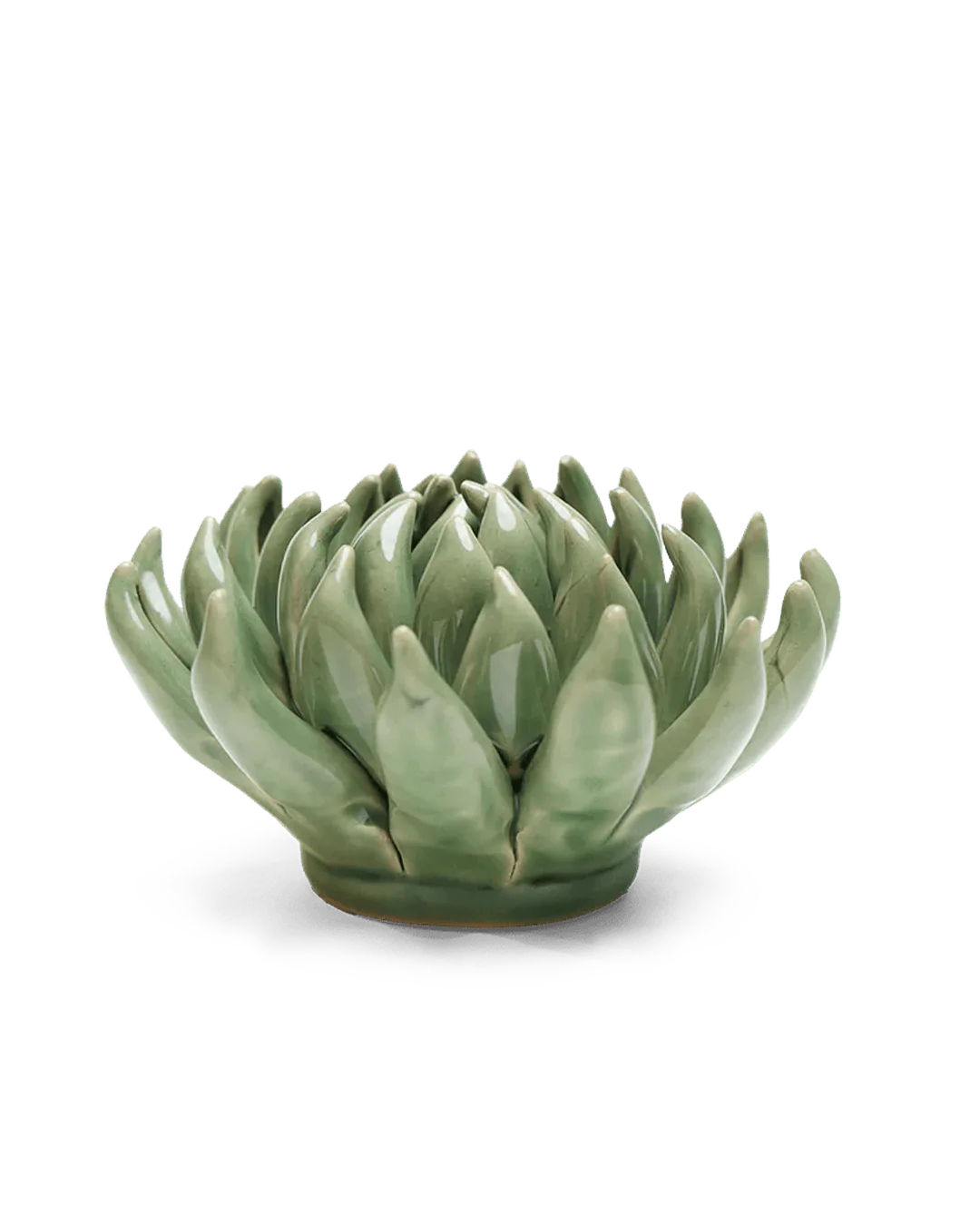 Jade Green Succulent Wall Flower