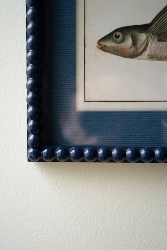 Navy Framed Fish Prints - Set of 2