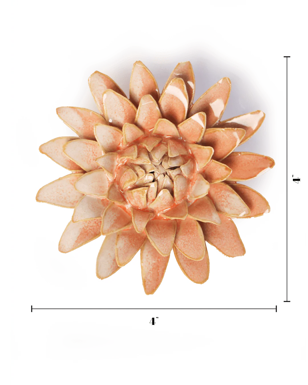 Peach Strawflower Wall Decor