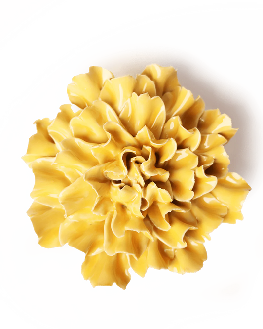 Yellow Carnation Wall Flower