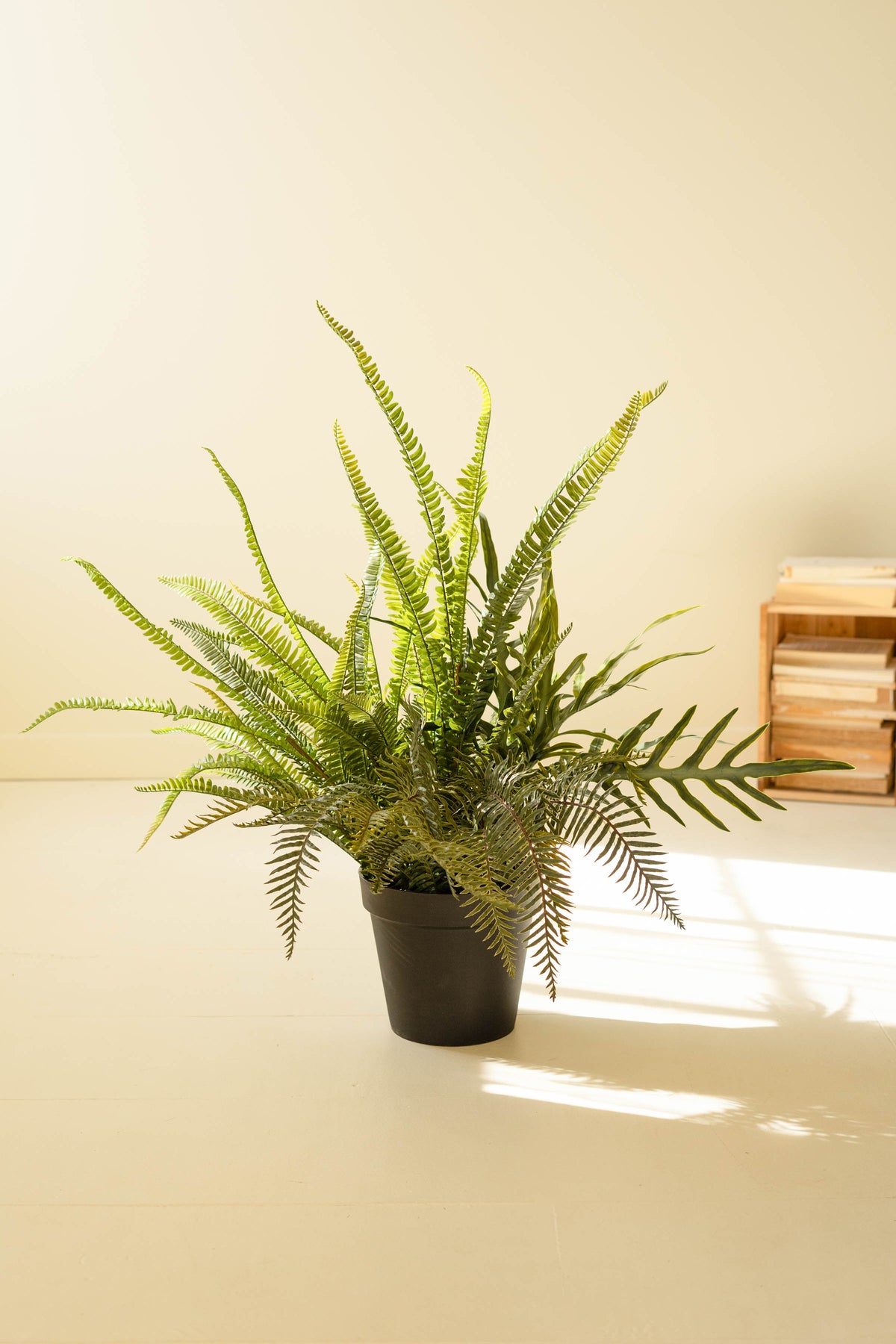 Artificial Fern in Black Pot - 40"