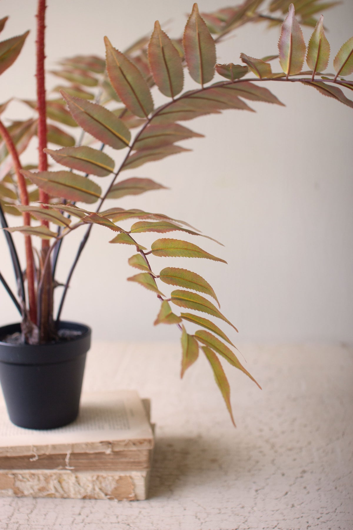 Artificial Yellow Fern in a Black Pot