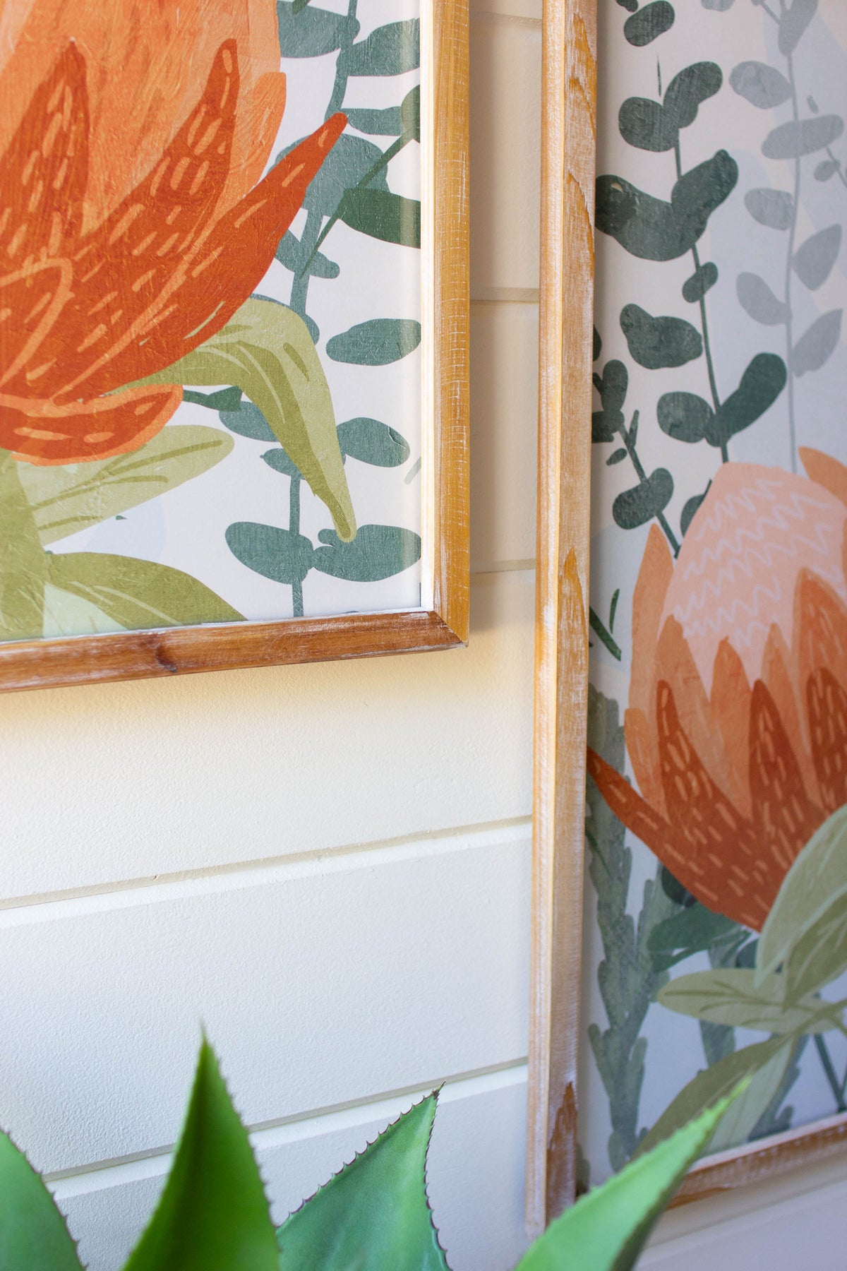 Set of Two Framed Prints Under Glass - Protea