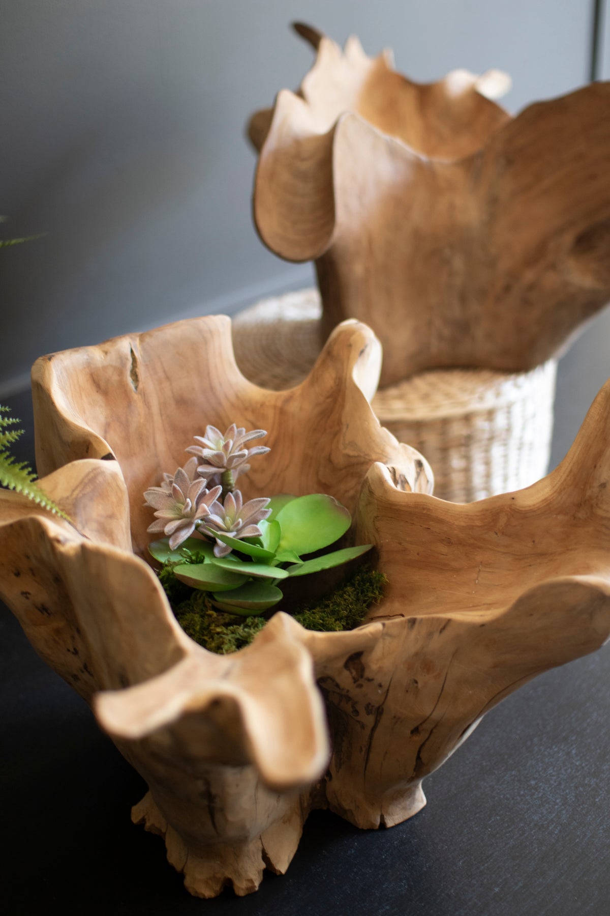 Hand-Carved Blooming Teak Root Bowl