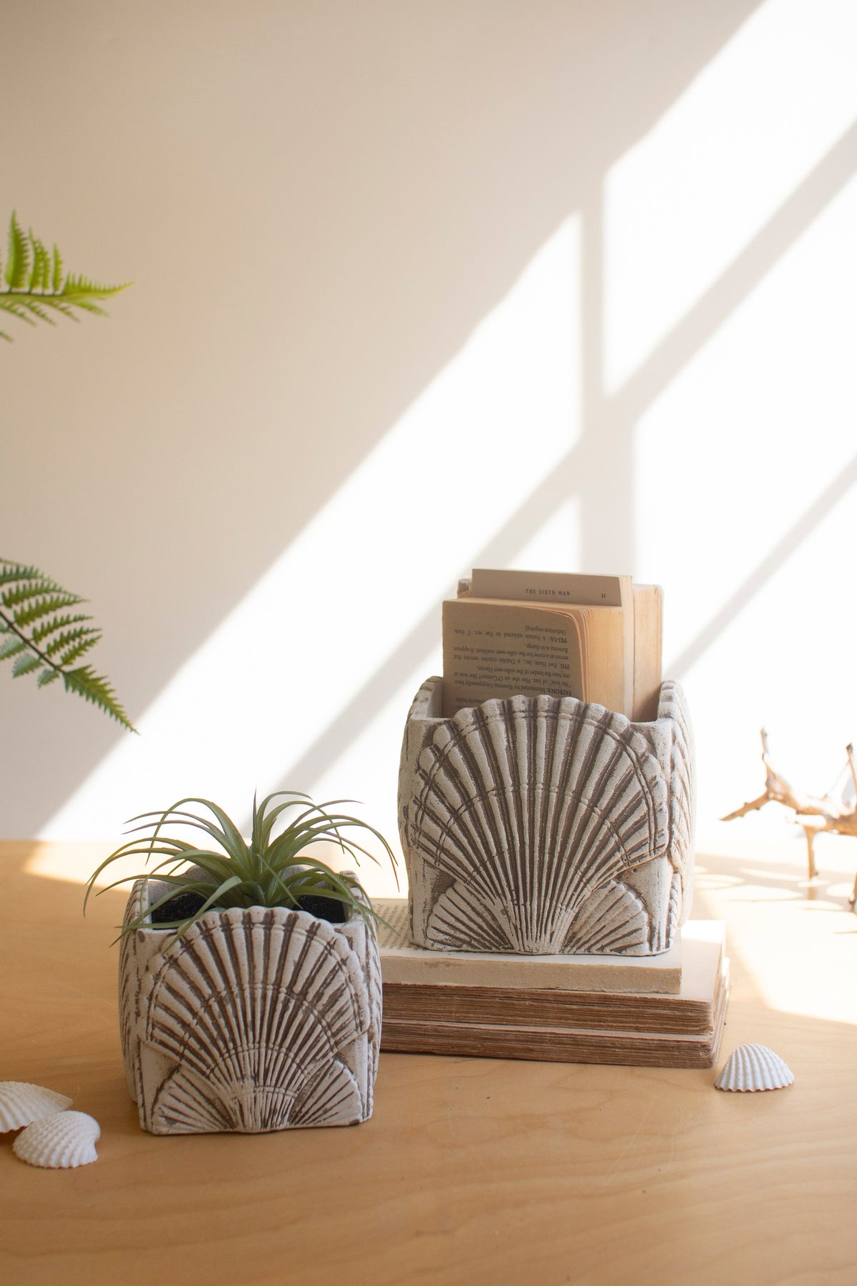 Set of Two Cement Shell Planters #1