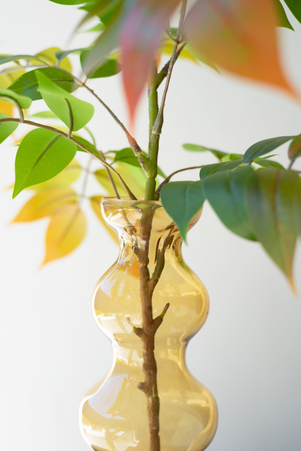Glass Bubble Vase - Amber