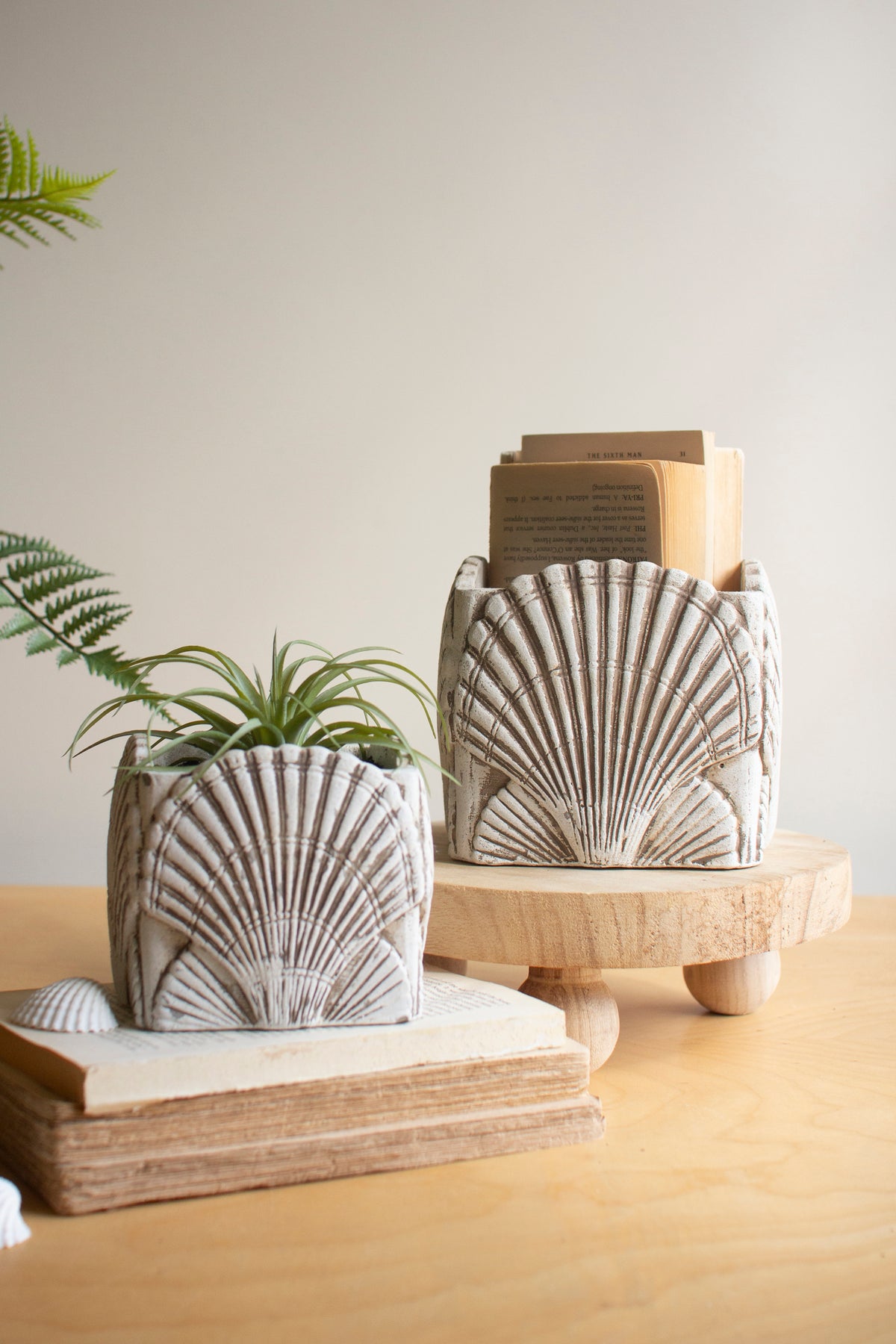 Set of Two Cement Shell Planters #1