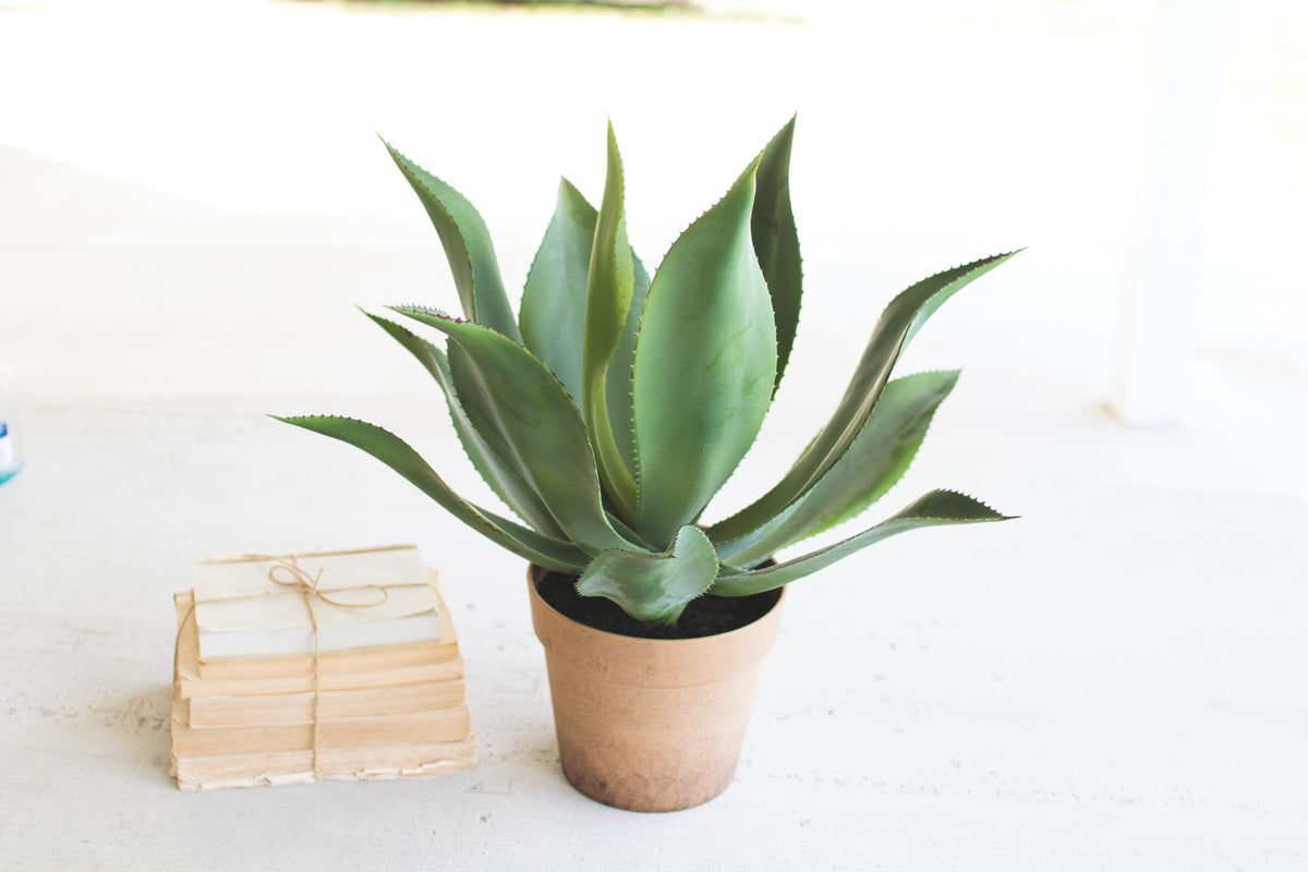 Artificial Agave in a Faux Terracotta Pot