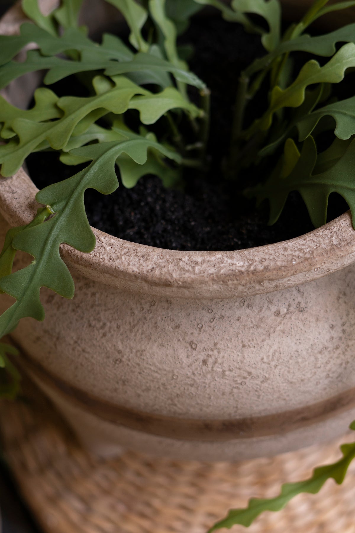 Set of Two Terracotta Planters with Horizontal Brown Stripe