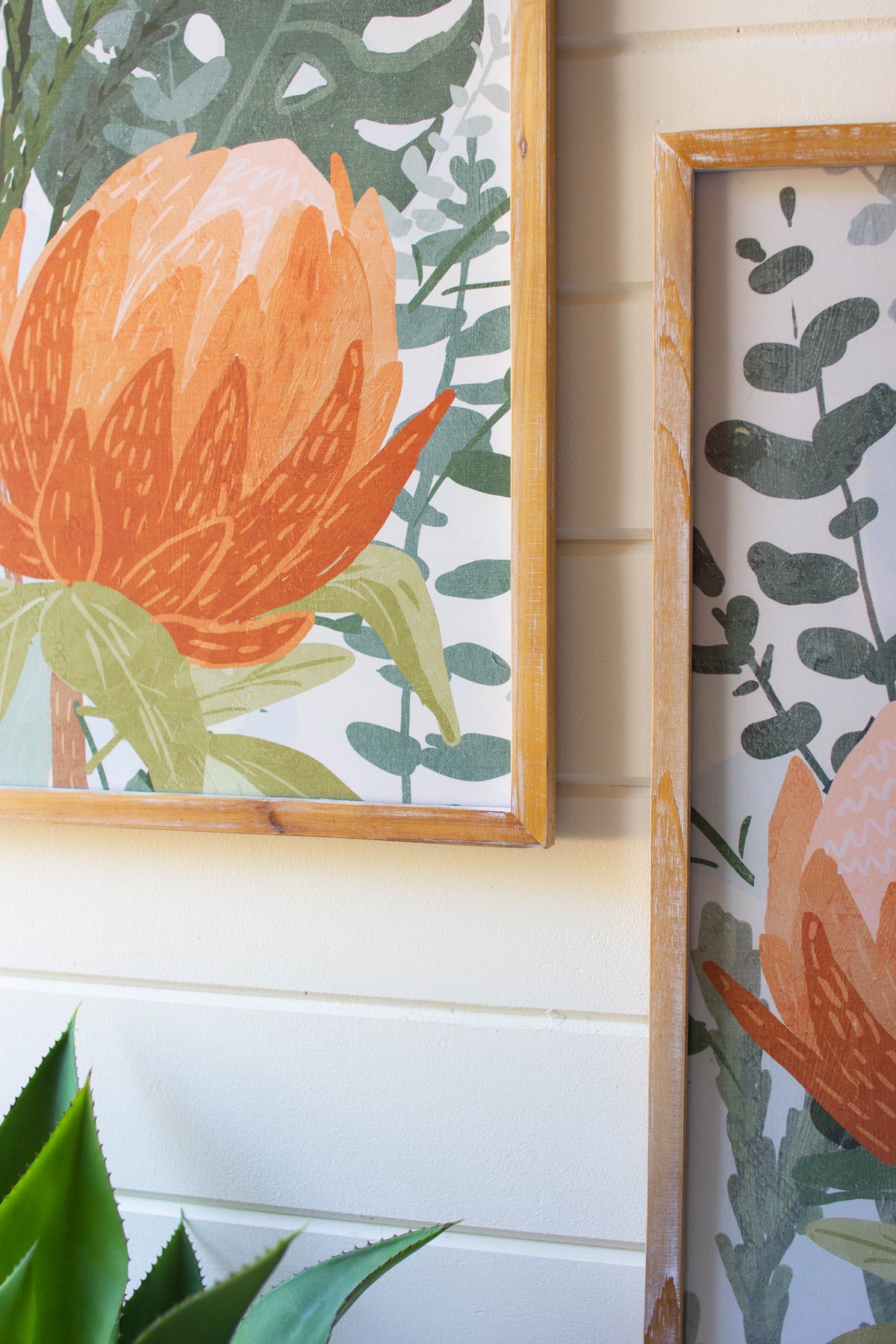 Set of Two Framed Prints Under Glass - Protea