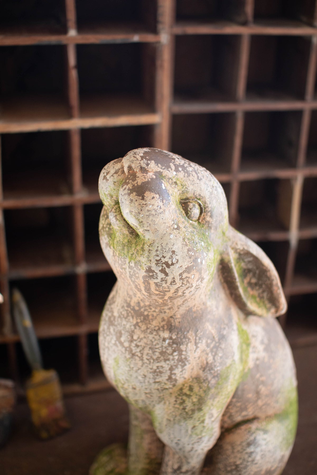 Faux Concrete Rabbit - Head Up