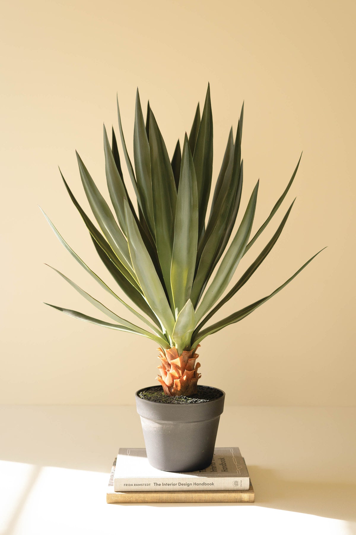 Artificial Sisal Plant in Black Plastic Pot - 27"