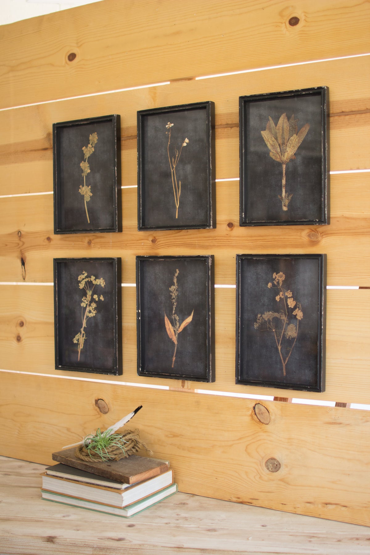 Set of Six Botanical Prints Under Glass