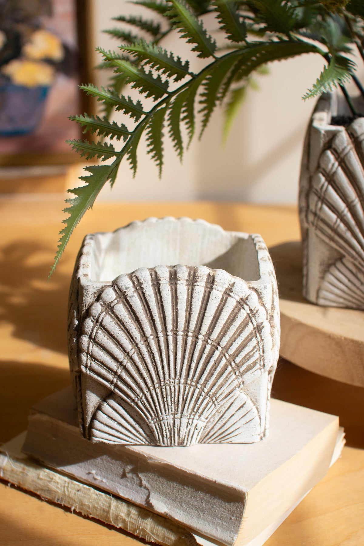 Set of Two Cement Shell Planters #1