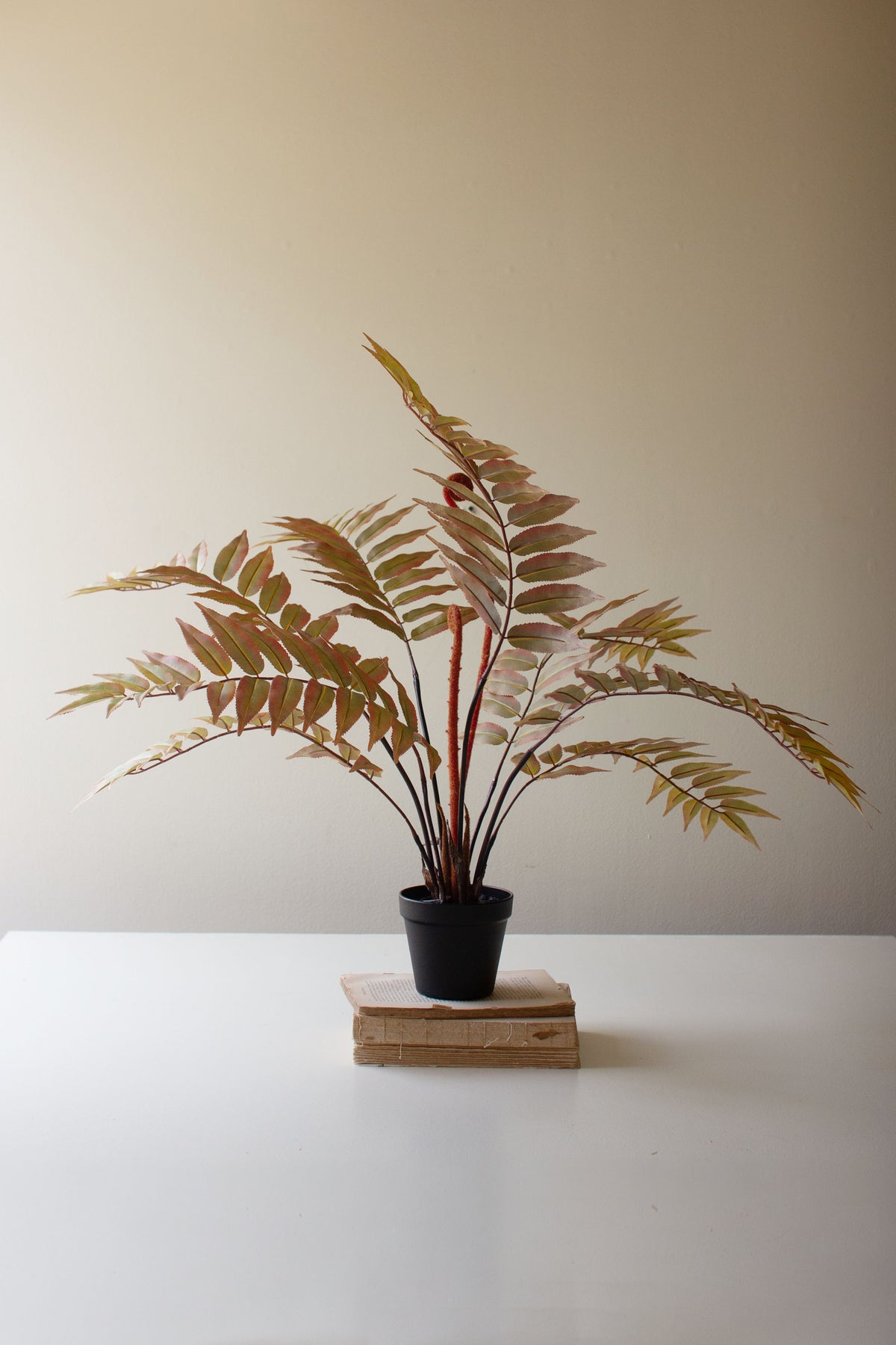 Artificial Yellow Fern in a Black Pot