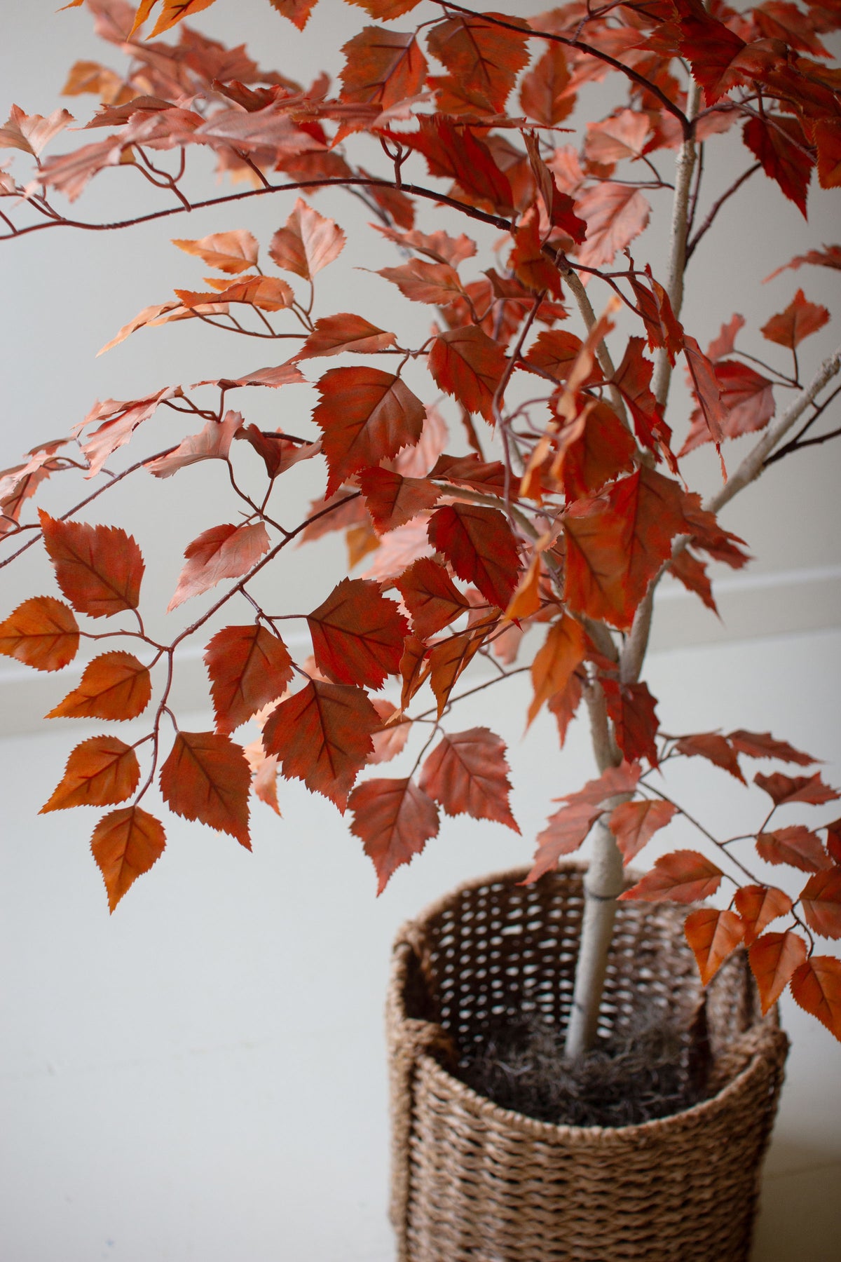 Artificial Autumn Birch Tree in a Black Pot