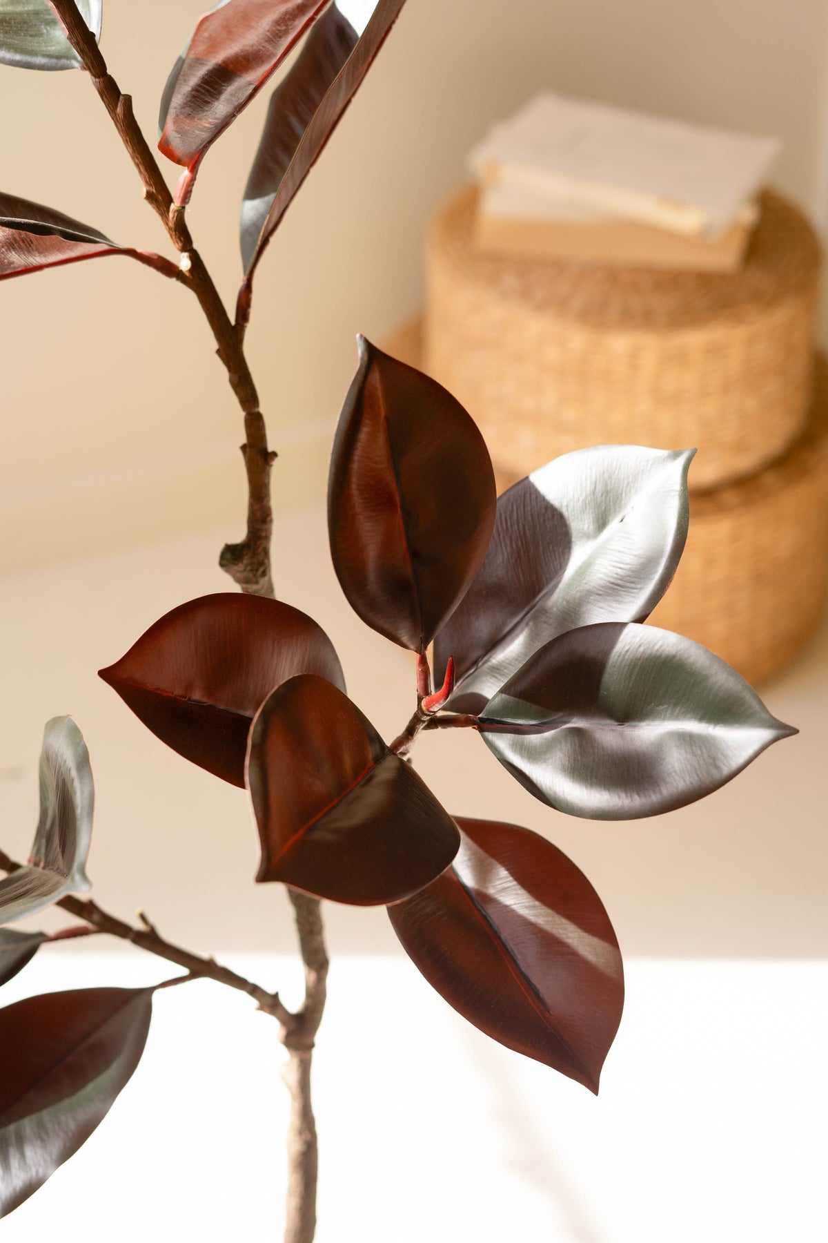 Artificial Rubber Tree with Black Plastic Pot