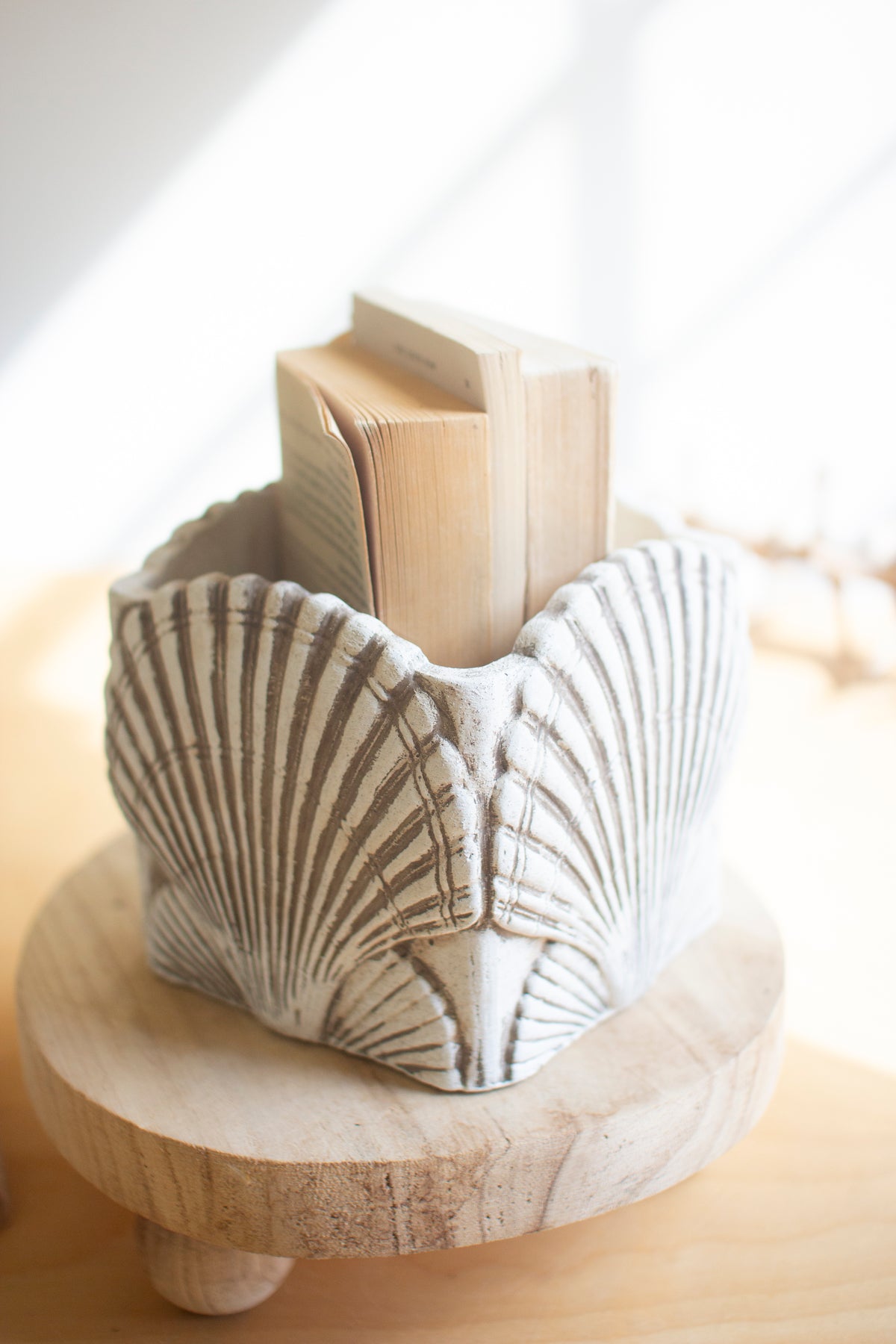 Set of Two Cement Shell Planters #1