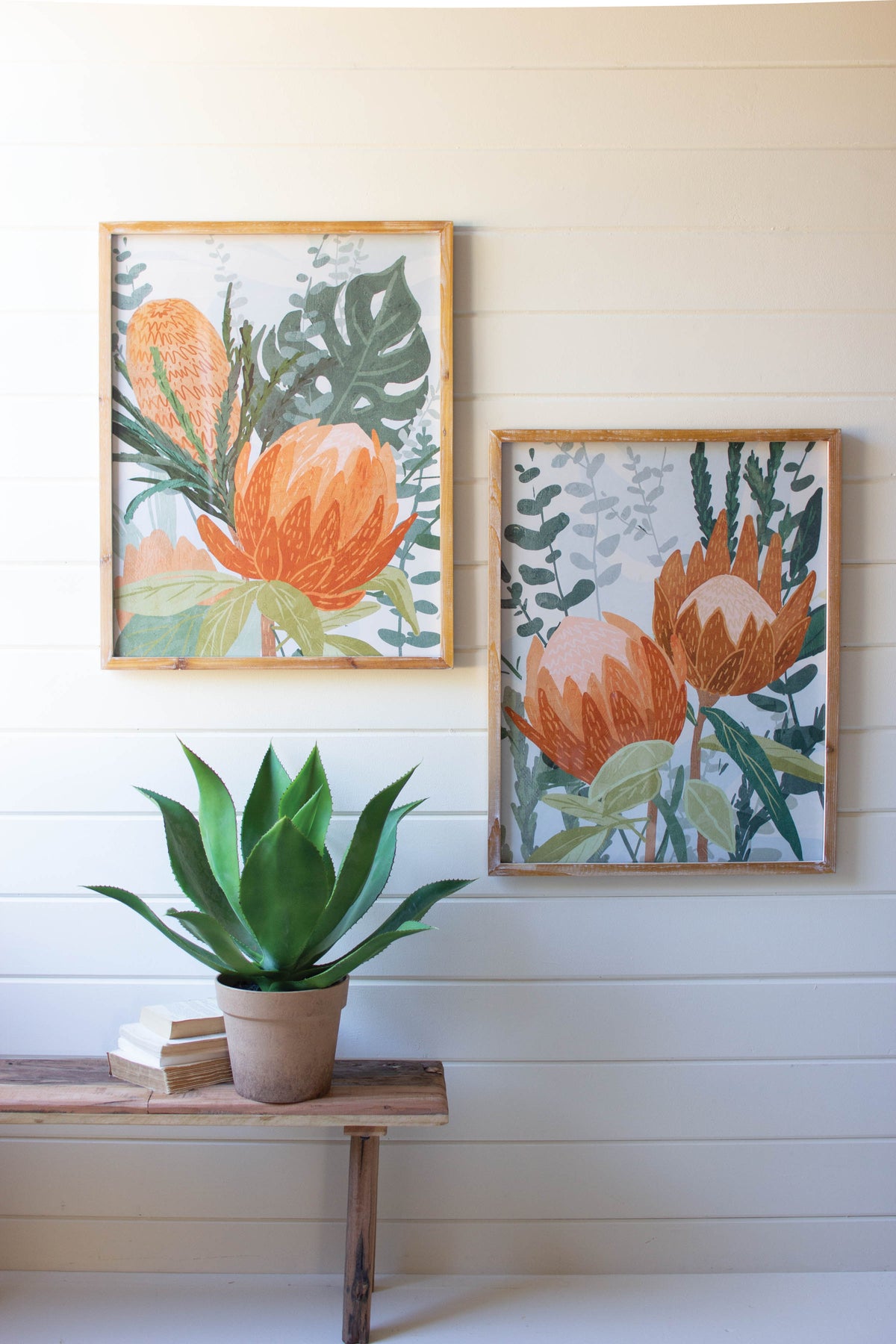 Set of Two Framed Prints Under Glass - Protea