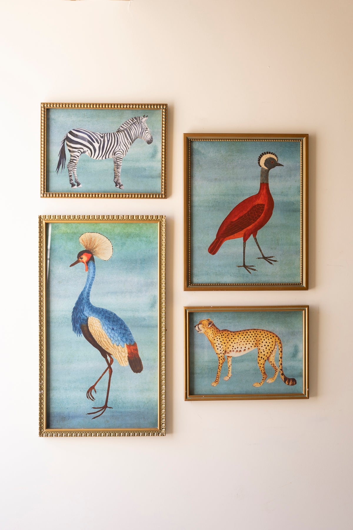 Set of Four Framed Birds and Animal Prints Under Glass