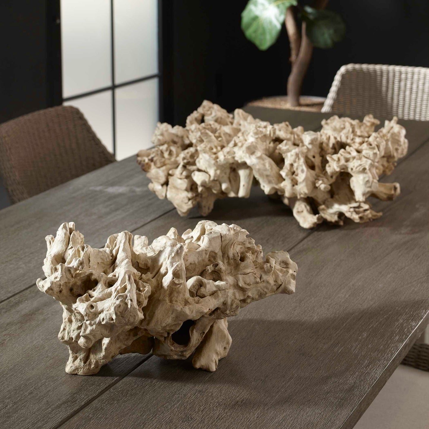 Elemental Root Outdoor Sculptures Set/2