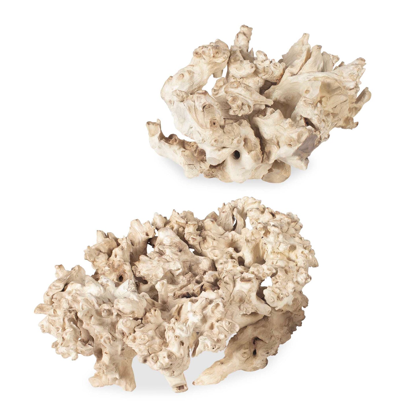 Elemental Root Outdoor Sculptures Set/2