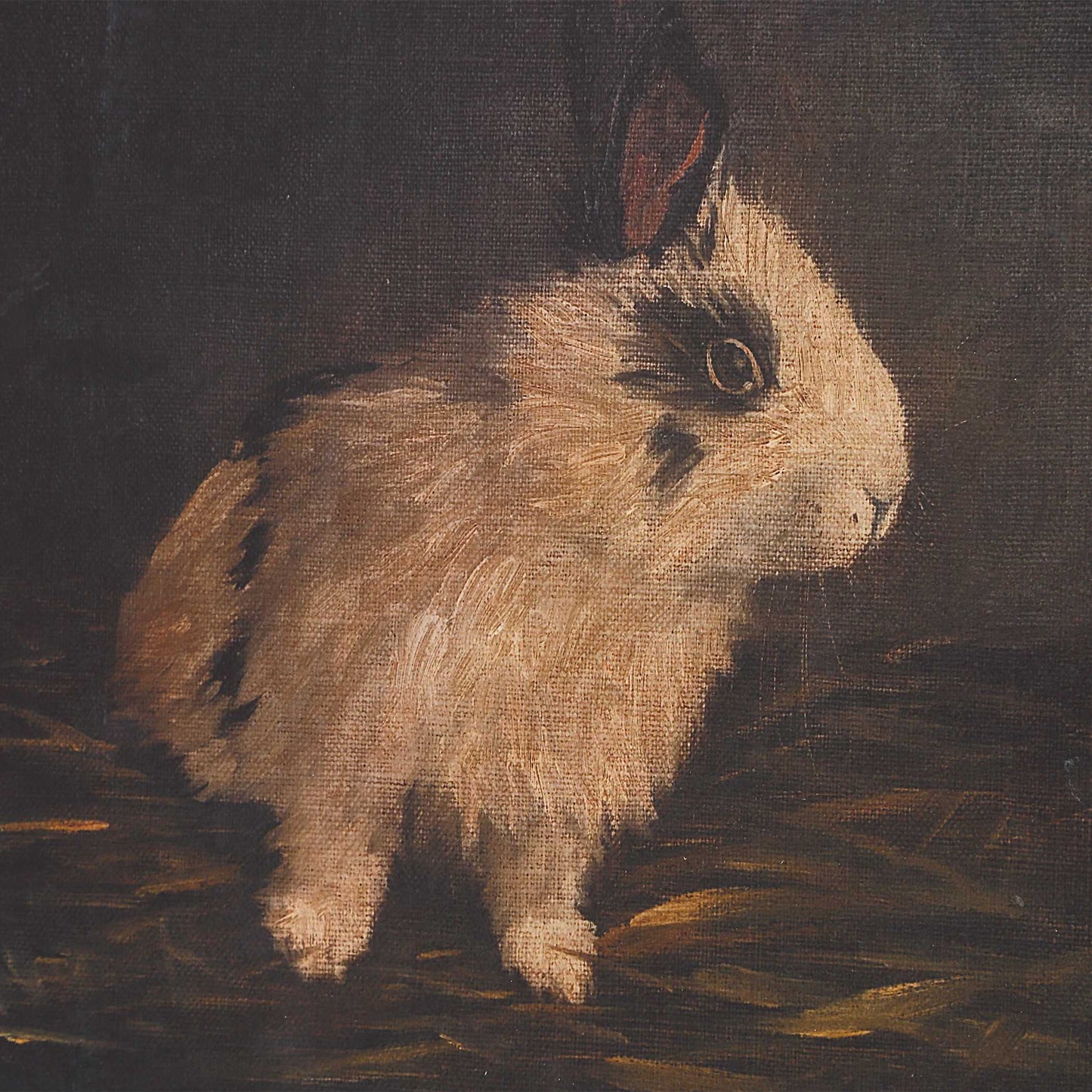 Resting Bunny Framed Prints Set/9