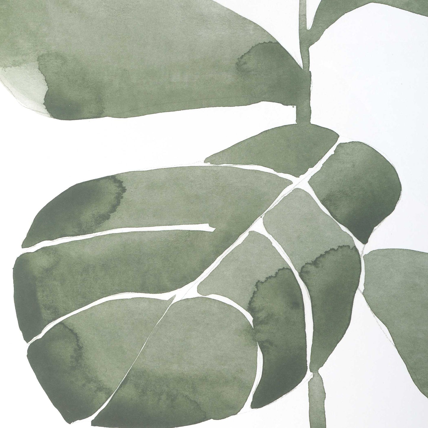 Fiddle Head Leaf Botanical Prints Set/4