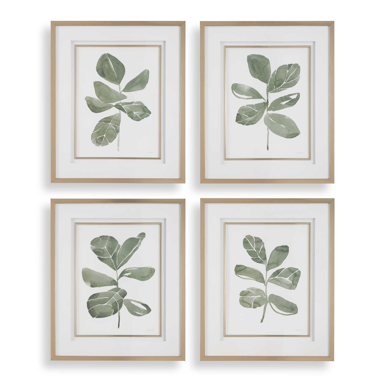 Fiddle Head Leaf Botanical Prints Set/4
