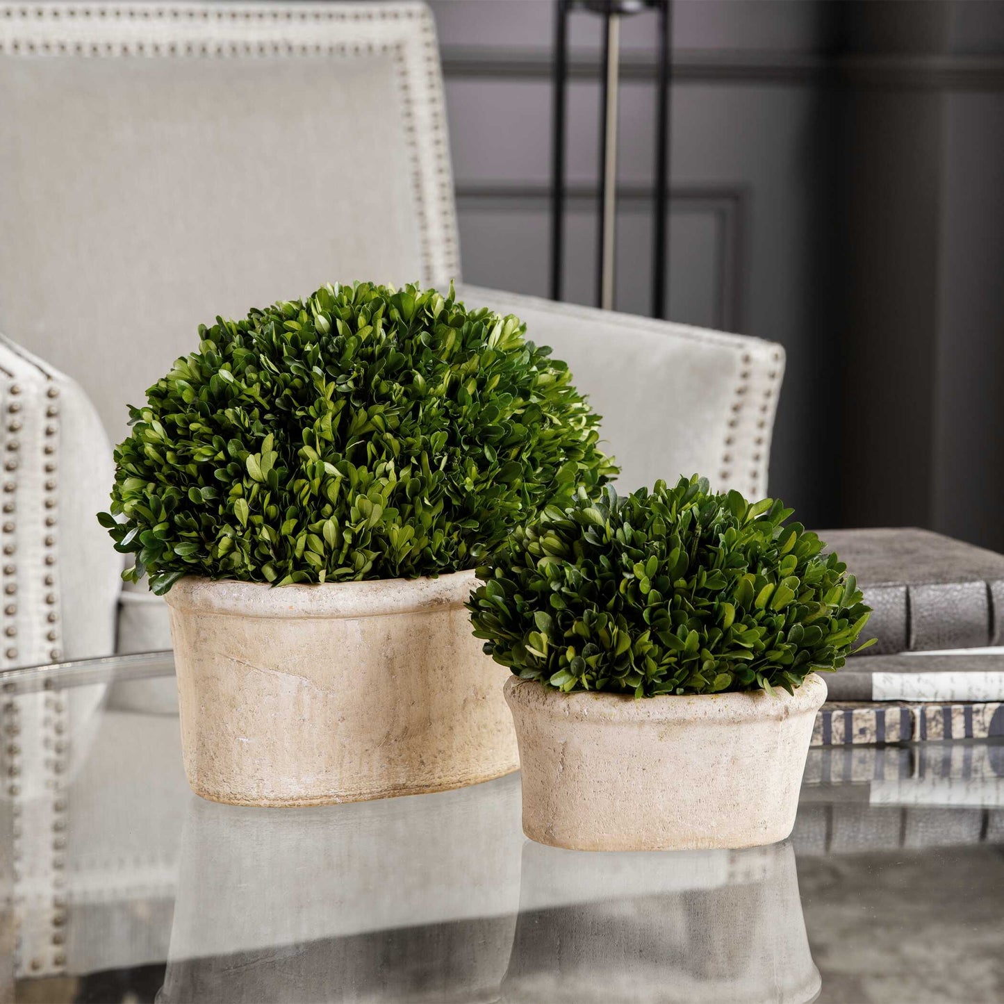 Oval Domes Preserved Boxwood Set/2