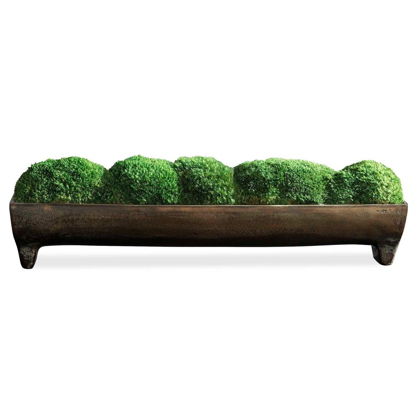 Canal Moss Small Centerpiece