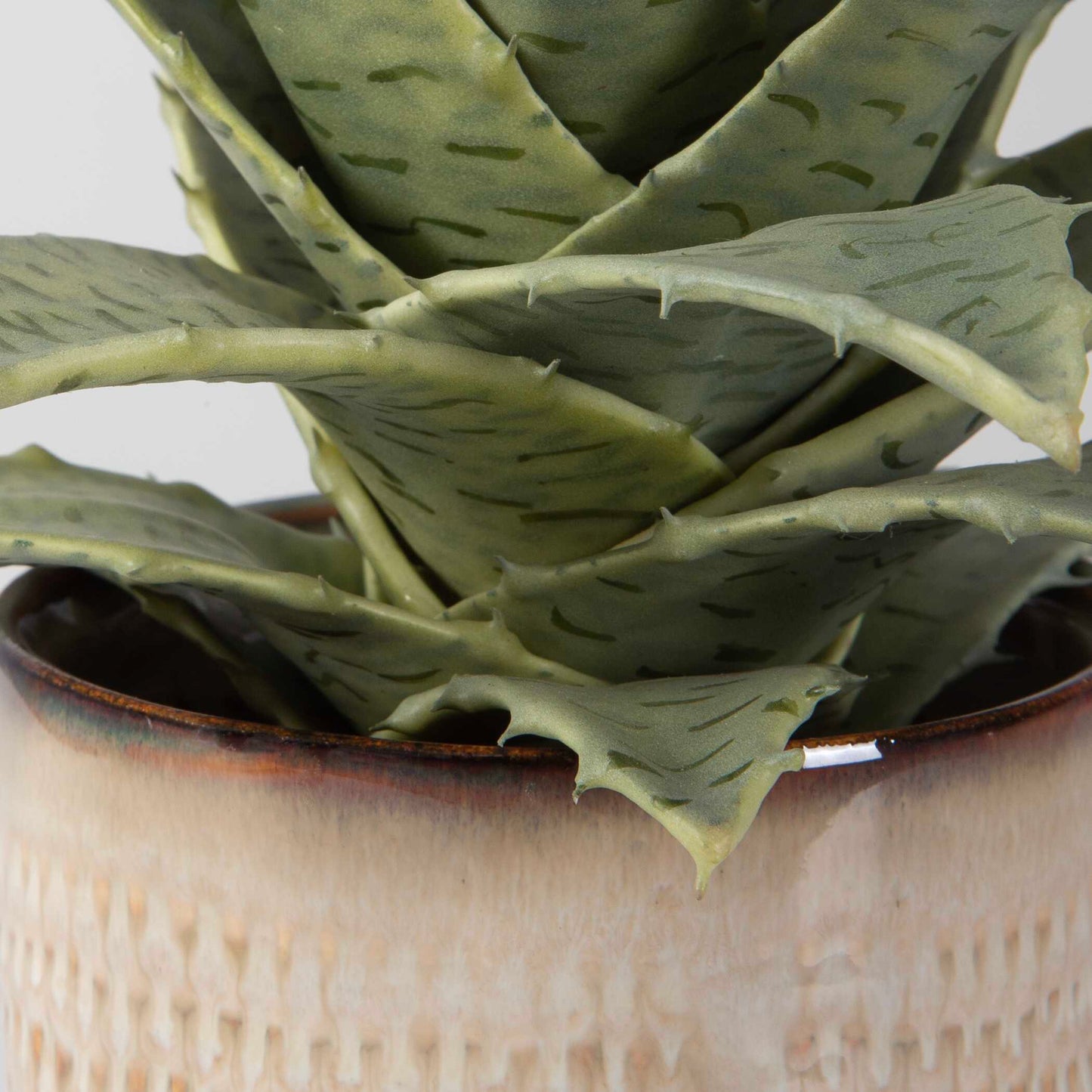 Seaside Succulents Set/2