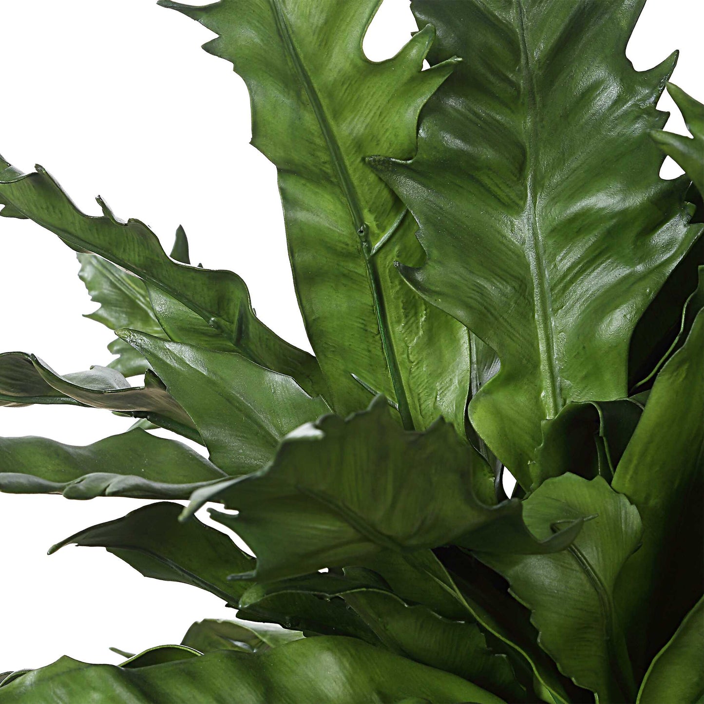 Verdure Fern In Glazed Pot