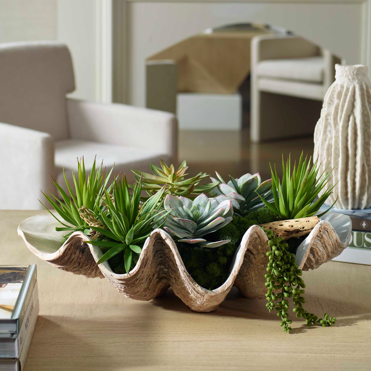 Seaside Breeze Succulents