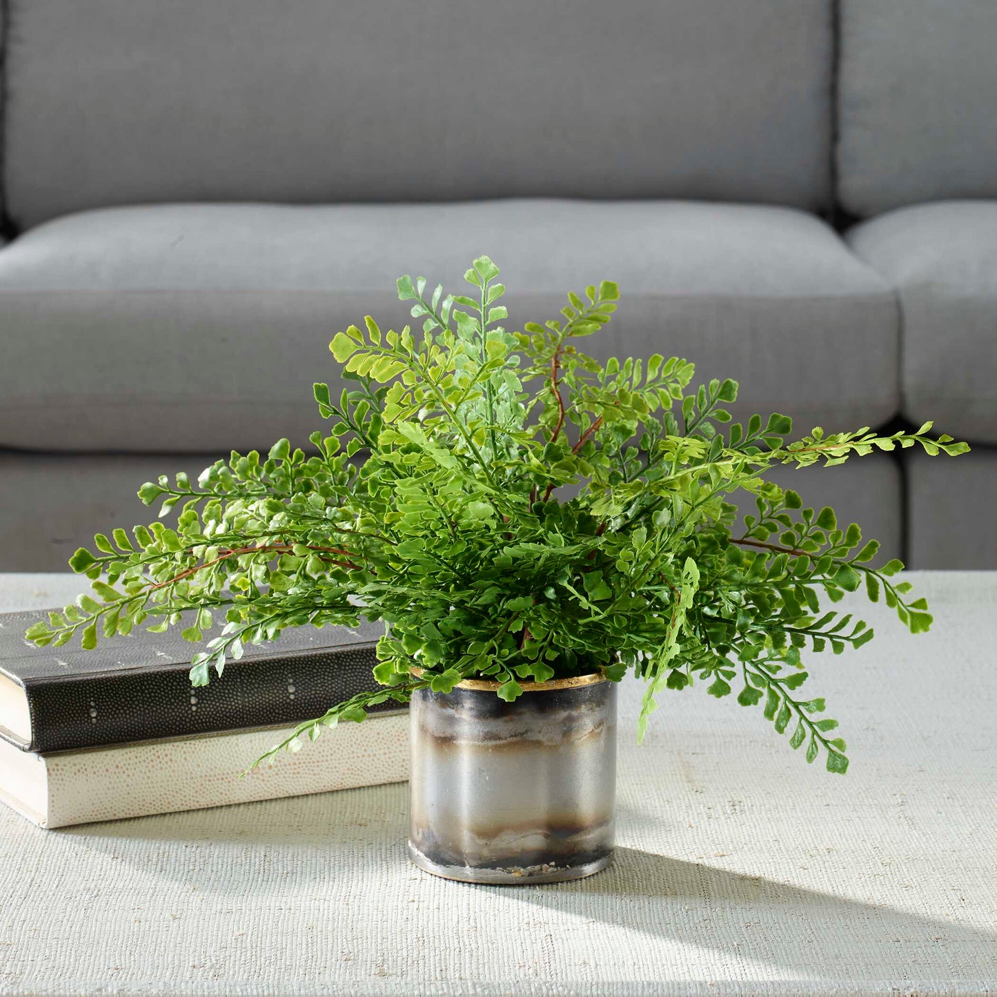 Maidenhair Fern In Oxidized Container