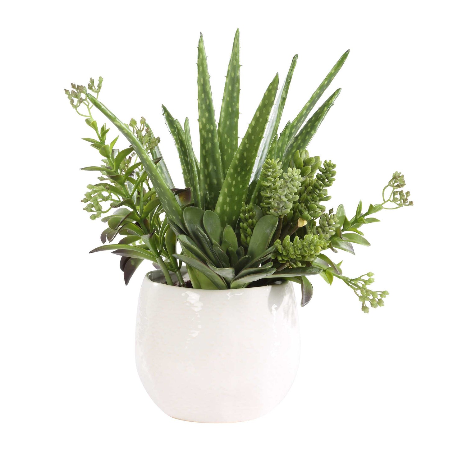 Sundown Succulent Accent Planter