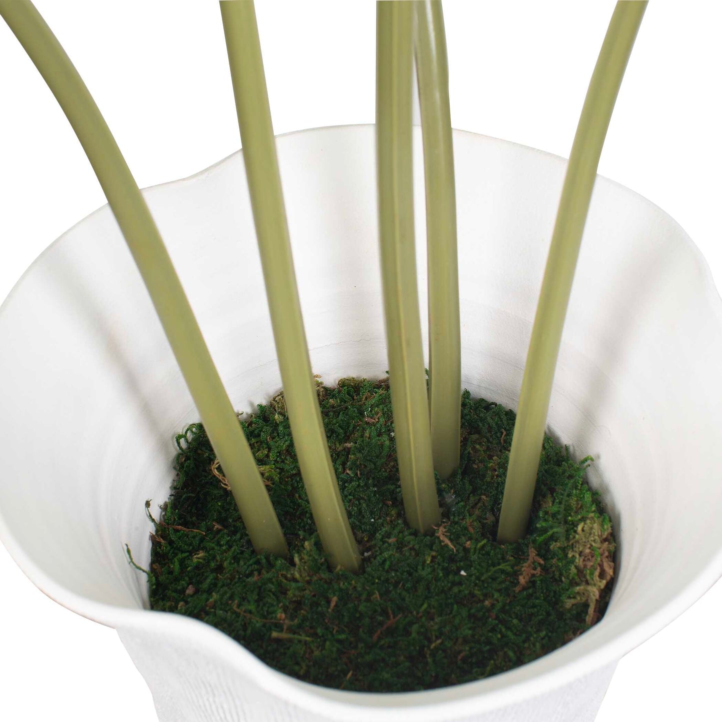 Muse Monstera White Vase Centerpiece
