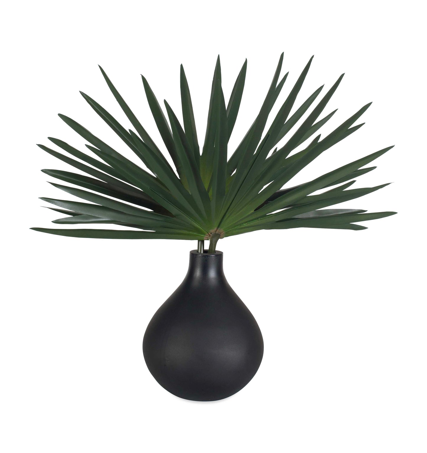 Axis Palm Accent & Vase