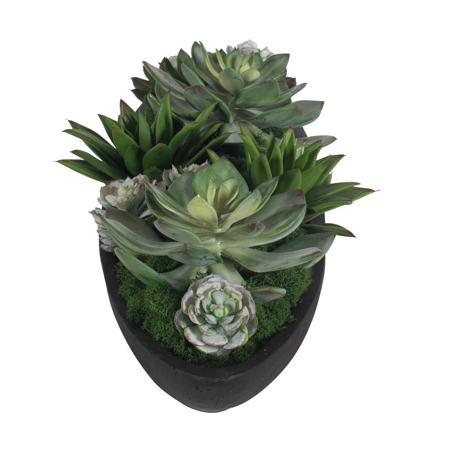 Verde Succulent Centerpiece In Bowl