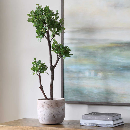 Arbor Strawberry Tree