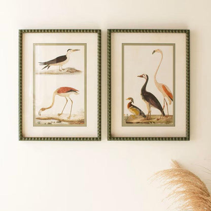 Bird Prints Under Glass