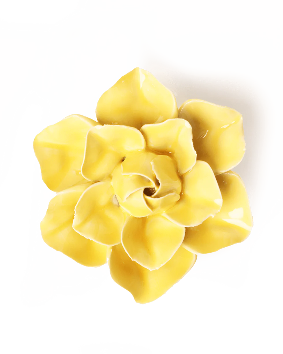 Buttercup Yellow Daffodil Wall Flower