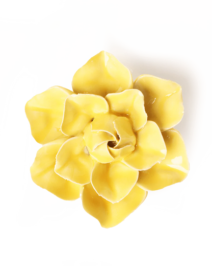 Buttercup Yellow Daffodil Wall Flower