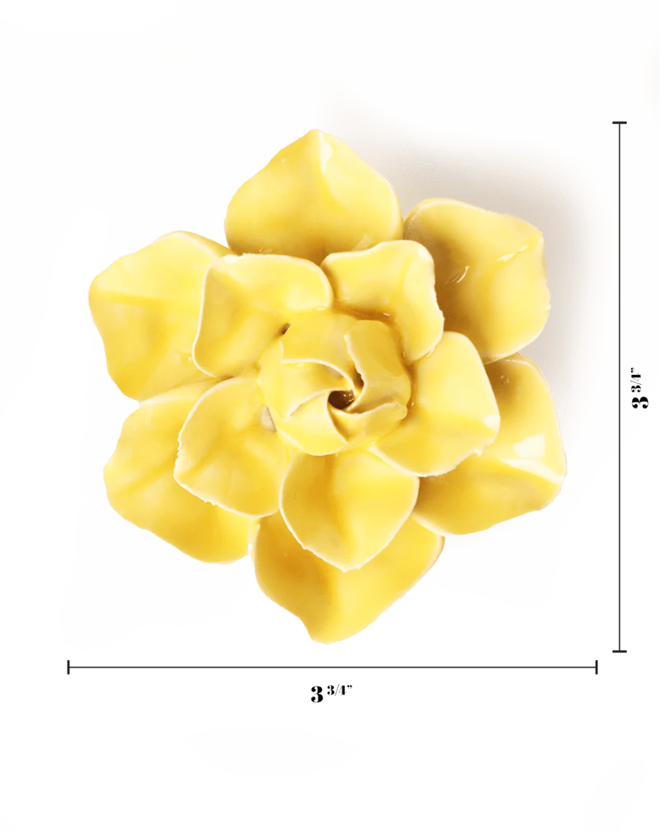 Buttercup Yellow Daffodil Wall Flower