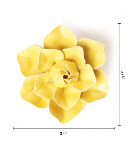 Buttercup Yellow Daffodil Wall Flower