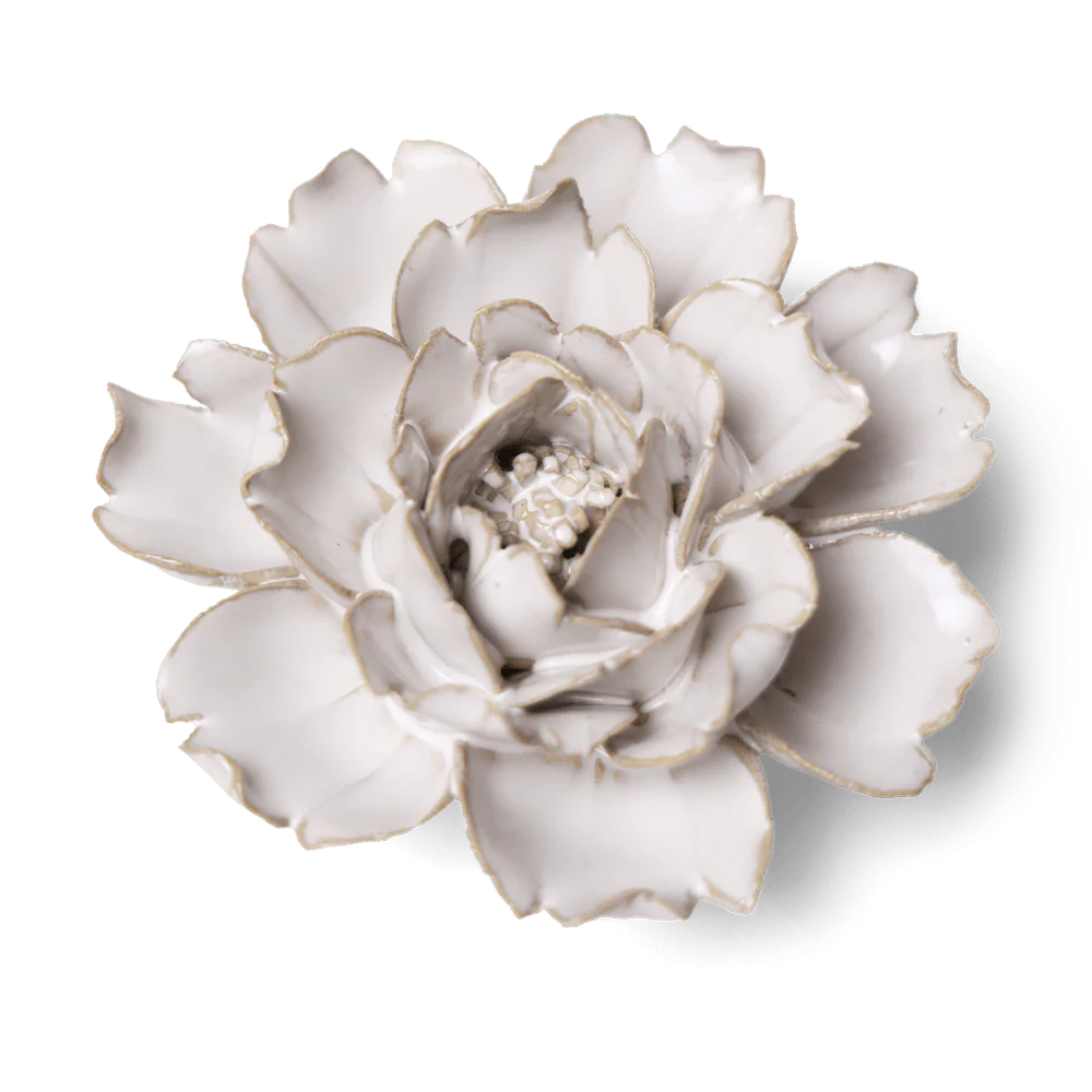 Coastal Ivory Rose Ceramic Wall Flower