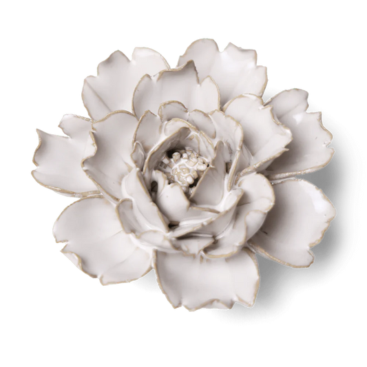 Coastal Ivory Rose Ceramic Wall Flower